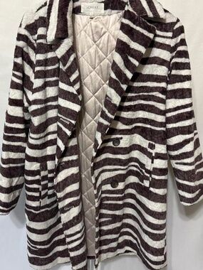The Great Zebra Coat